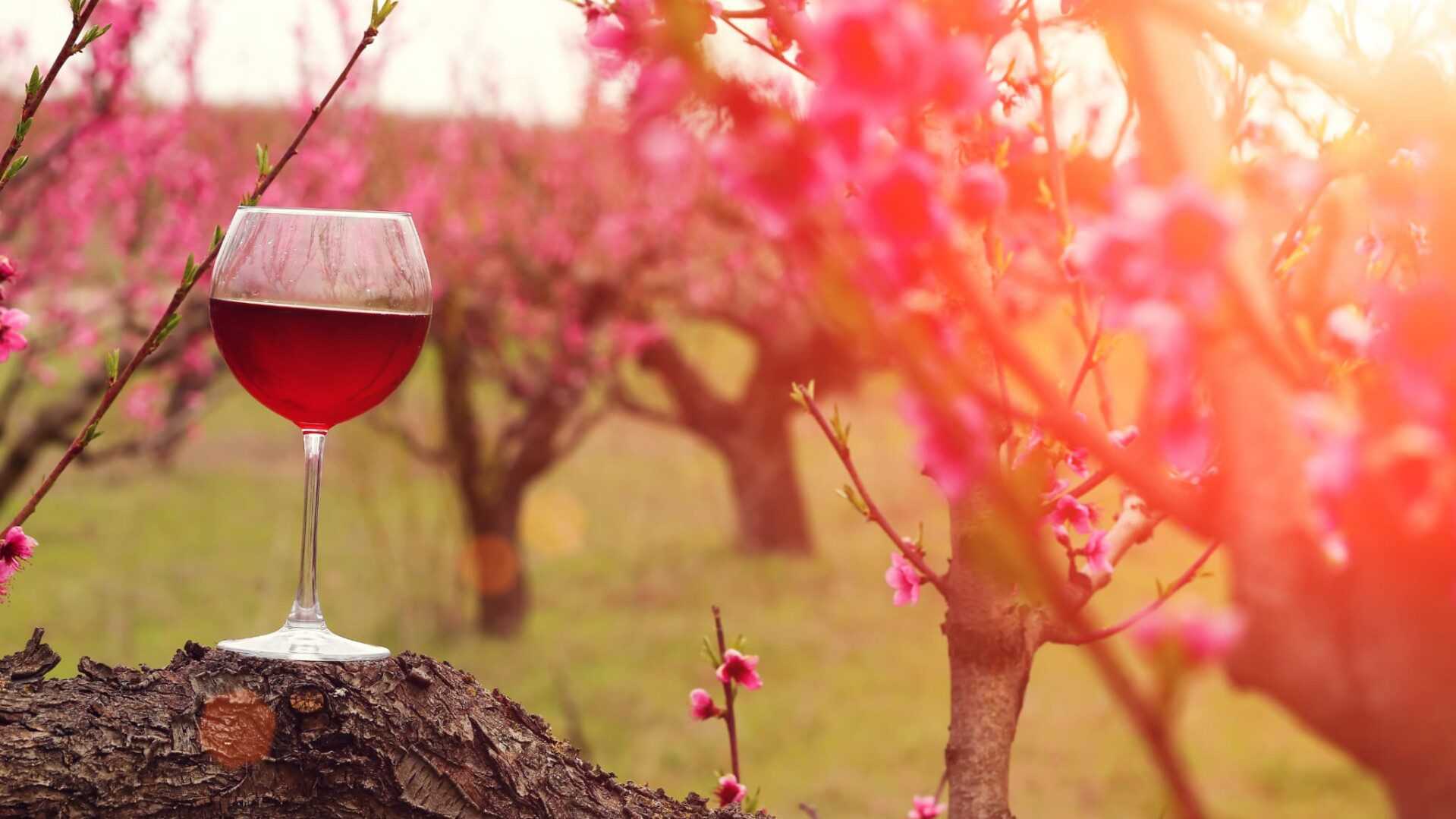 48113277 65c6 4aaa 953e 4b1b6d5b044e