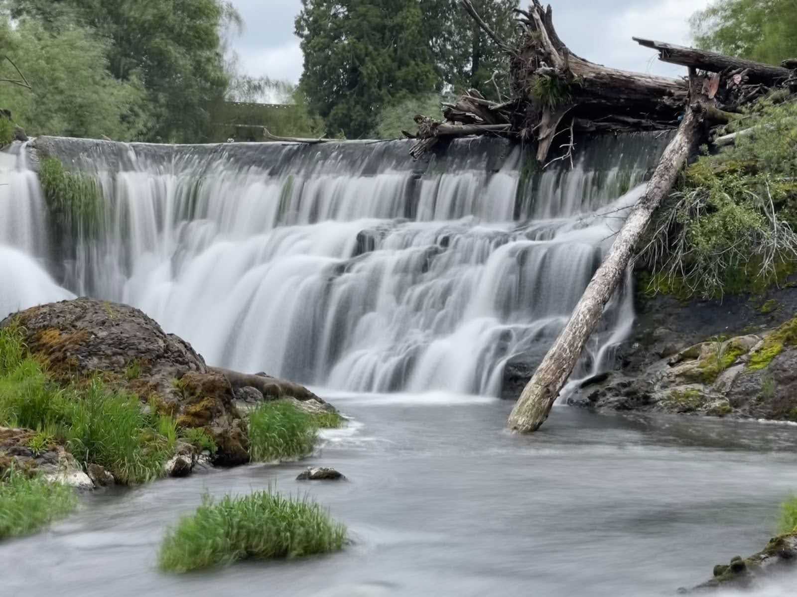 Exploring Olympia, Washington: South Sound Family Adventures.- Tumwater Falls