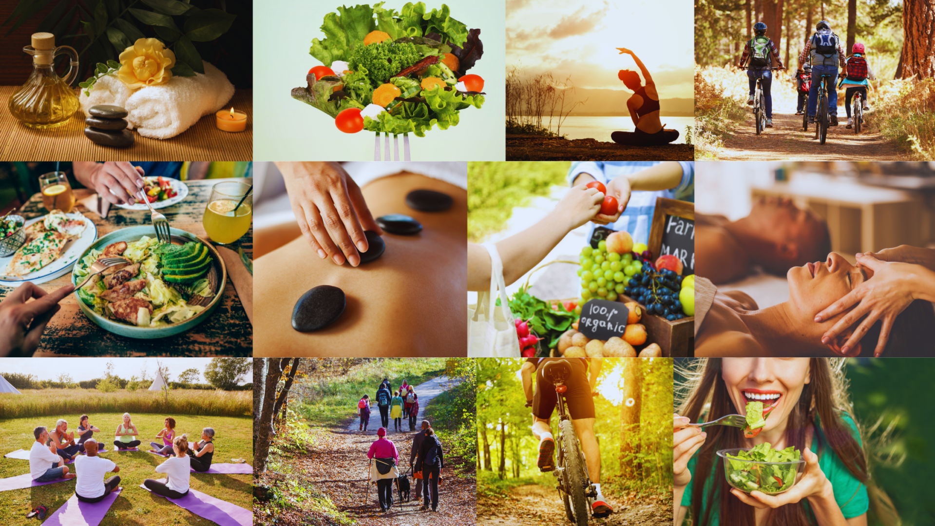 Cover Cover Cover Cover Cover