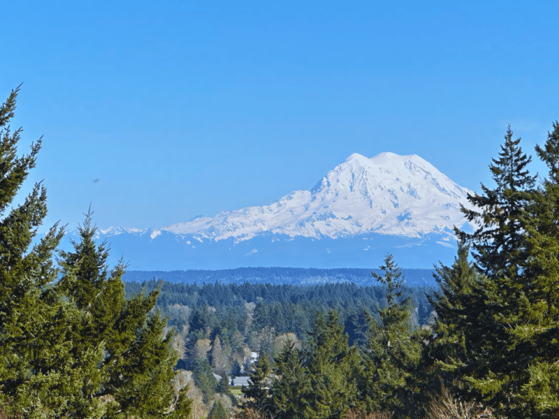 wp-content/uploads/2024/03/Mt.-Rainier-1.png