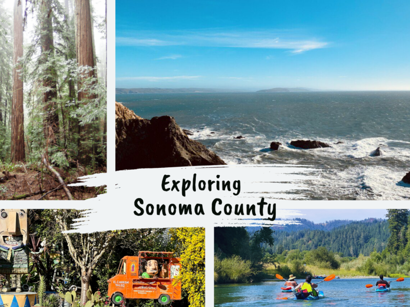 wp-content/uploads/2023/11/Exploring-Sonoma-County-Blog-Cover.png