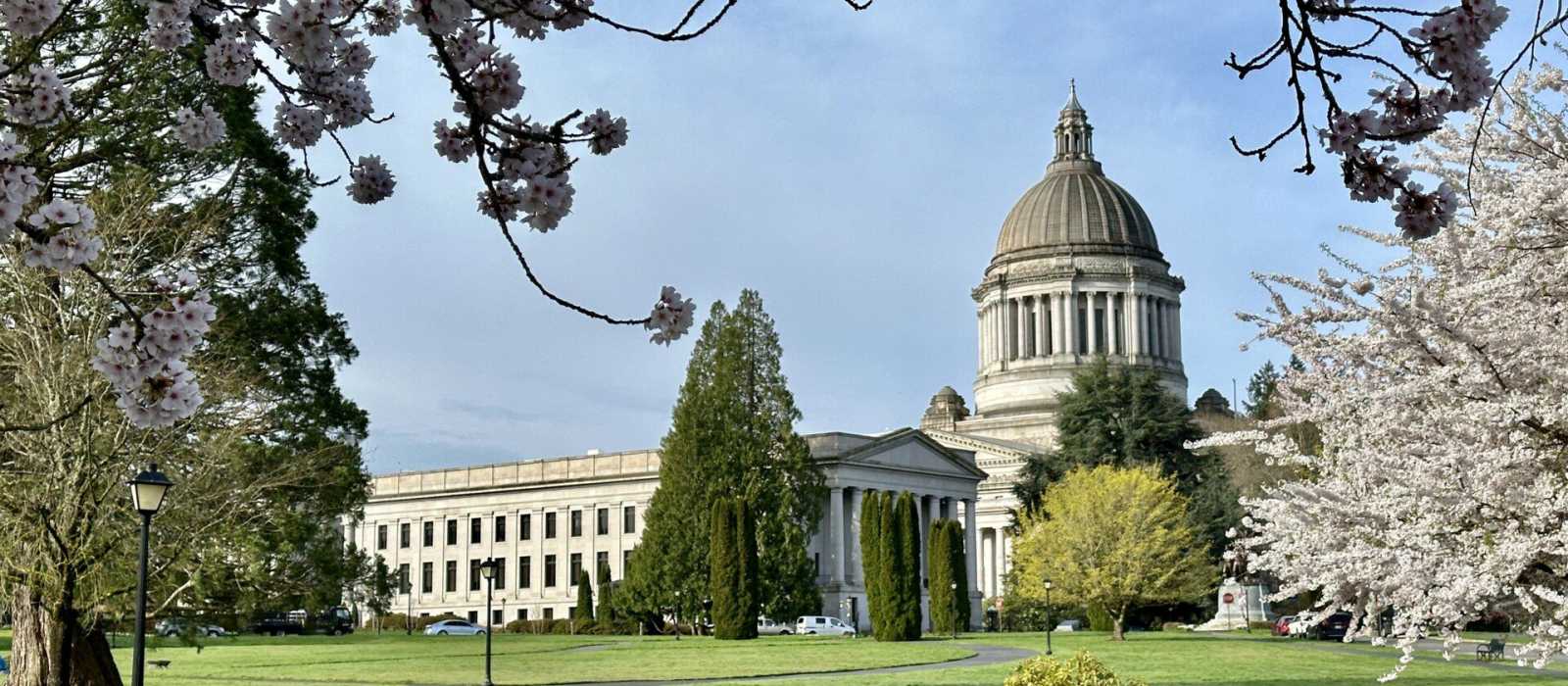 How to Make the Most of Your Spring Stay in the Pacific Northwest Featured Image