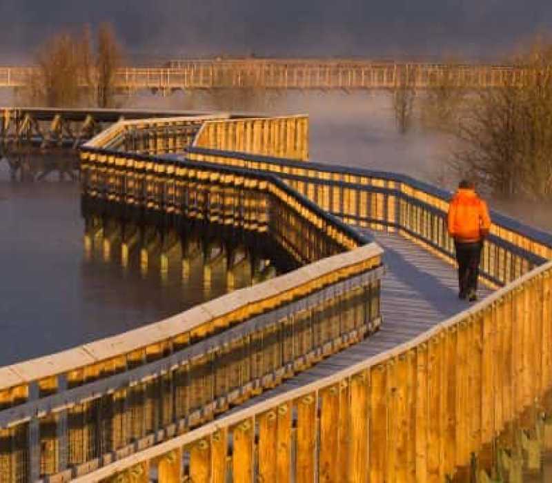 Billy Frank Jr. Nisqually National Wildlife Refuge
