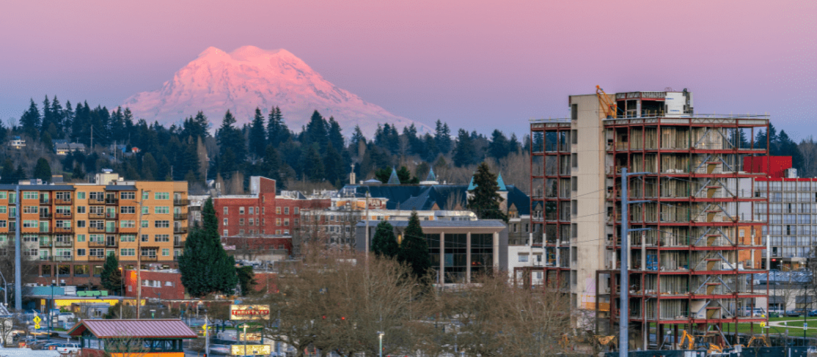 Top Things to Do in Olympia, Washington: Where Nature, Culture & Comfort Collide Featured Image