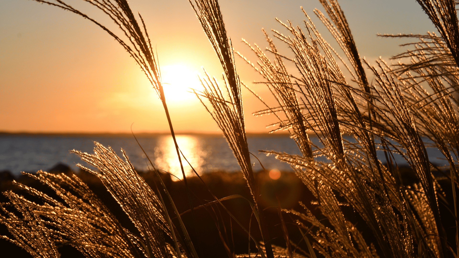 blog cover autumn sun