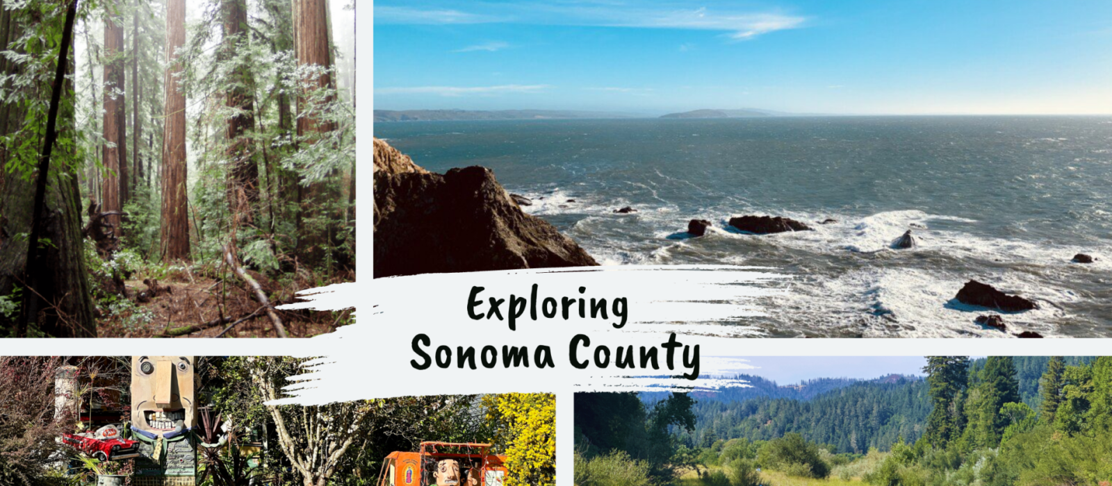 Exploring Sonoma County: 10 Hidden Gems Beyond the Vineyards Featured Image