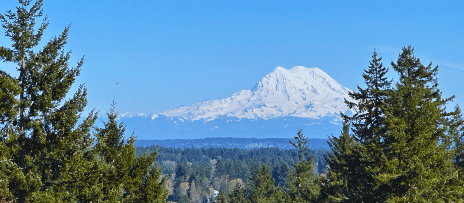 Discovering Nature’s Playground: Must Visit Hiking Spot in Western Washington! Featured Image