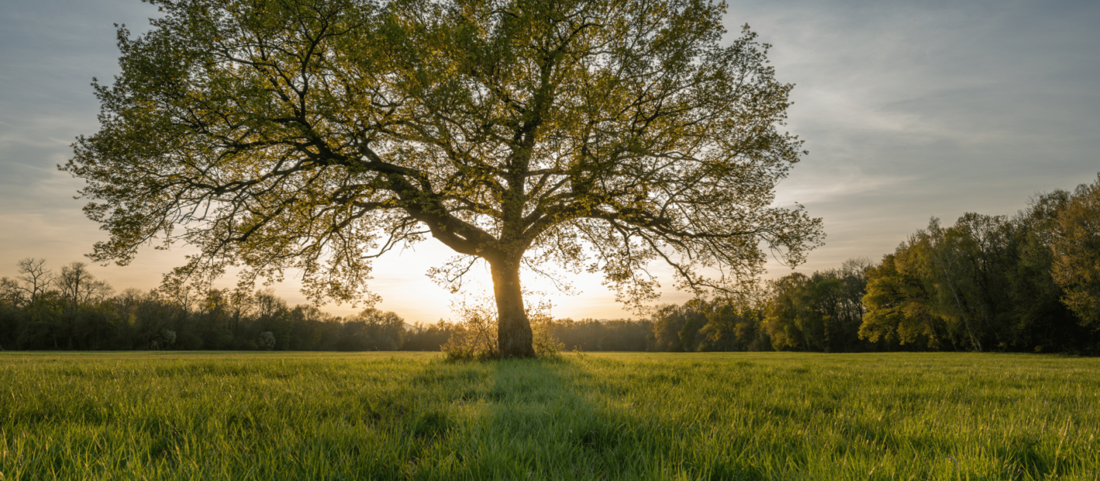 How to Make the Most of Your Spring Stay in Sonoma County Featured Image