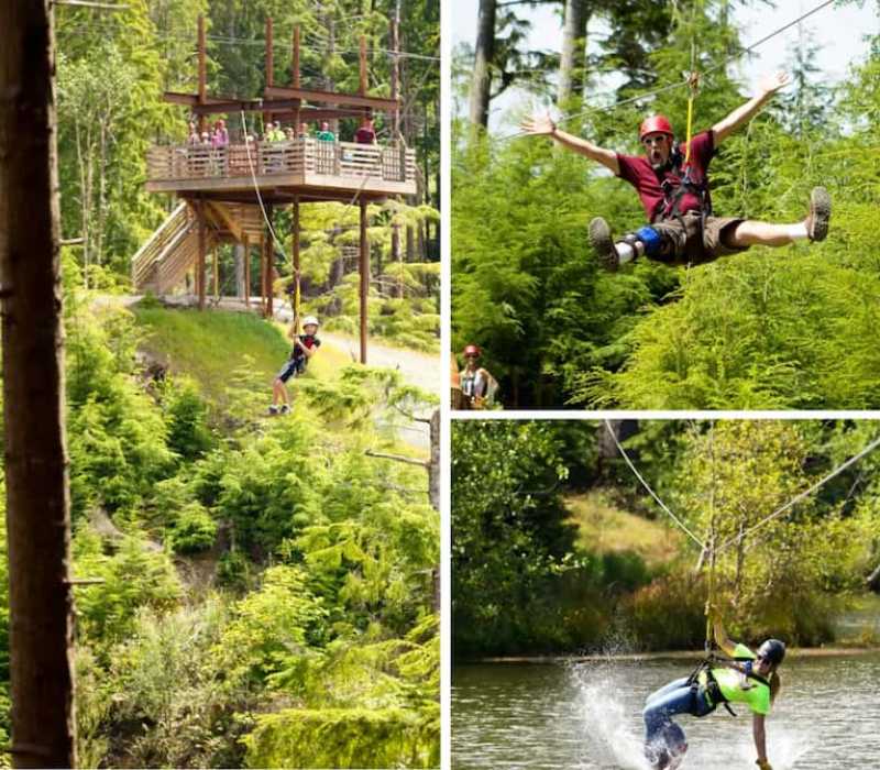 High Life Adventures Zip Line Tours