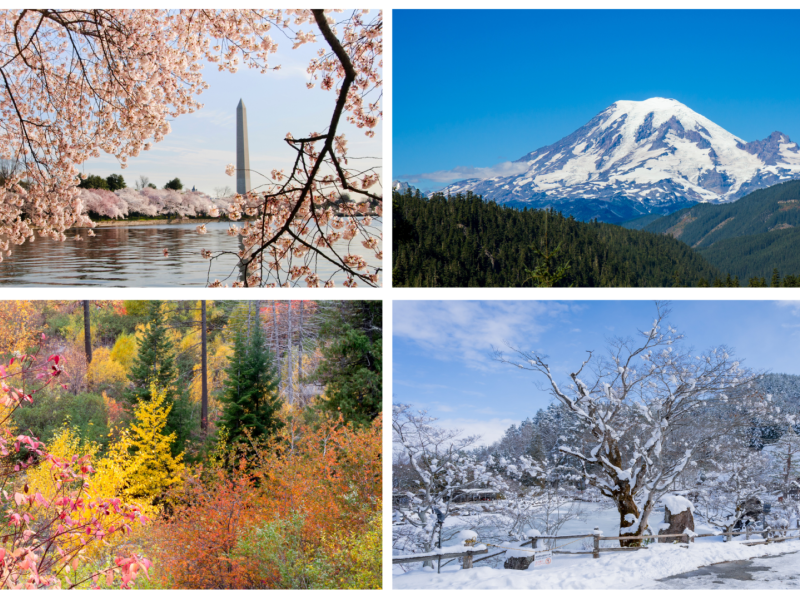 wp-content/uploads/2024/05/Seasons-in-Washington.png