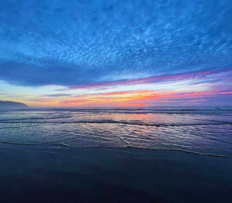 The Oregon Coast Hero Image