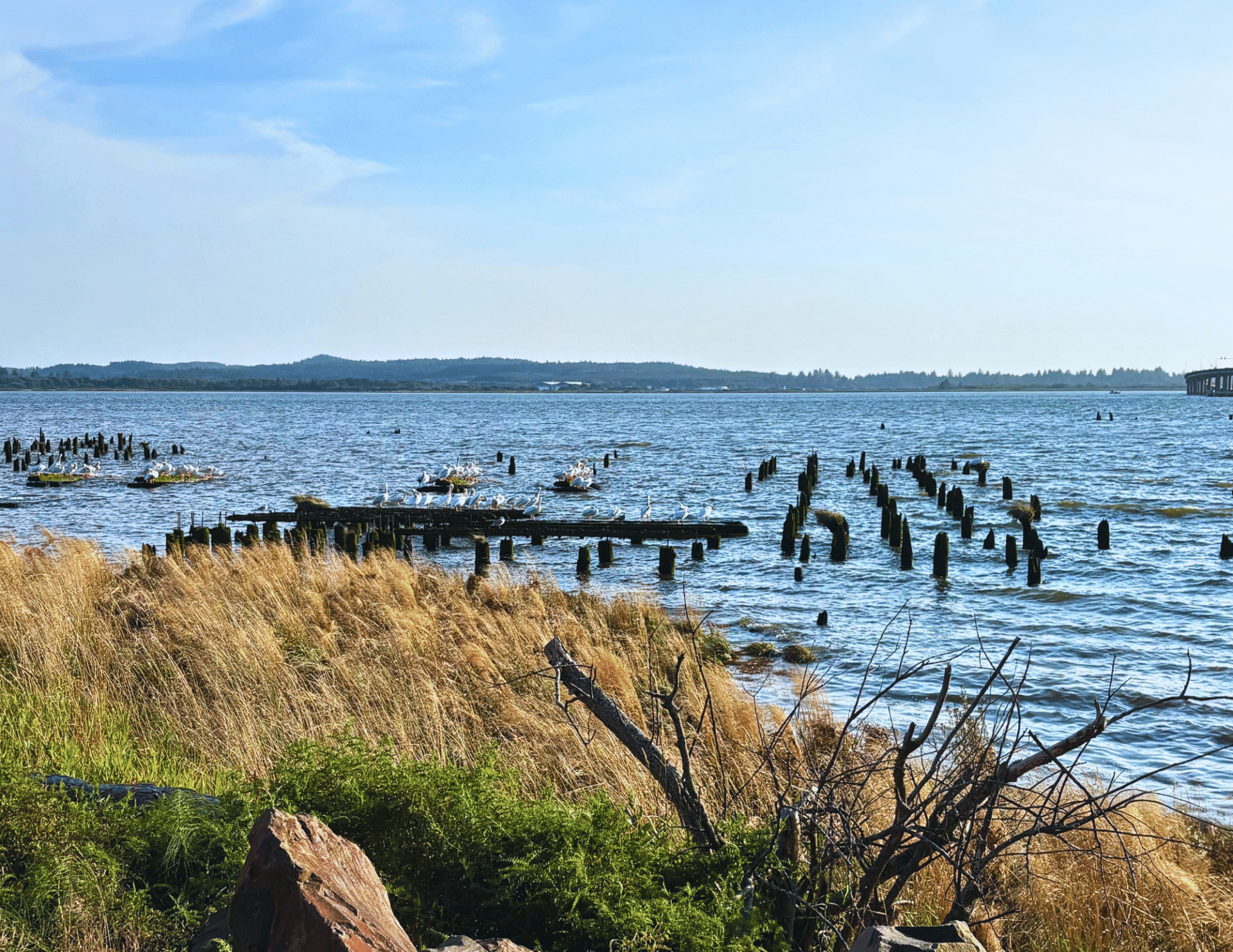oregon coast oregon coast oregon coast oregon coast