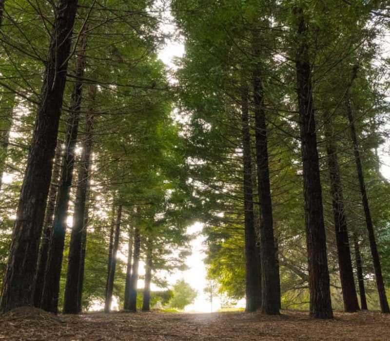 Ragle Ranch Regional Park