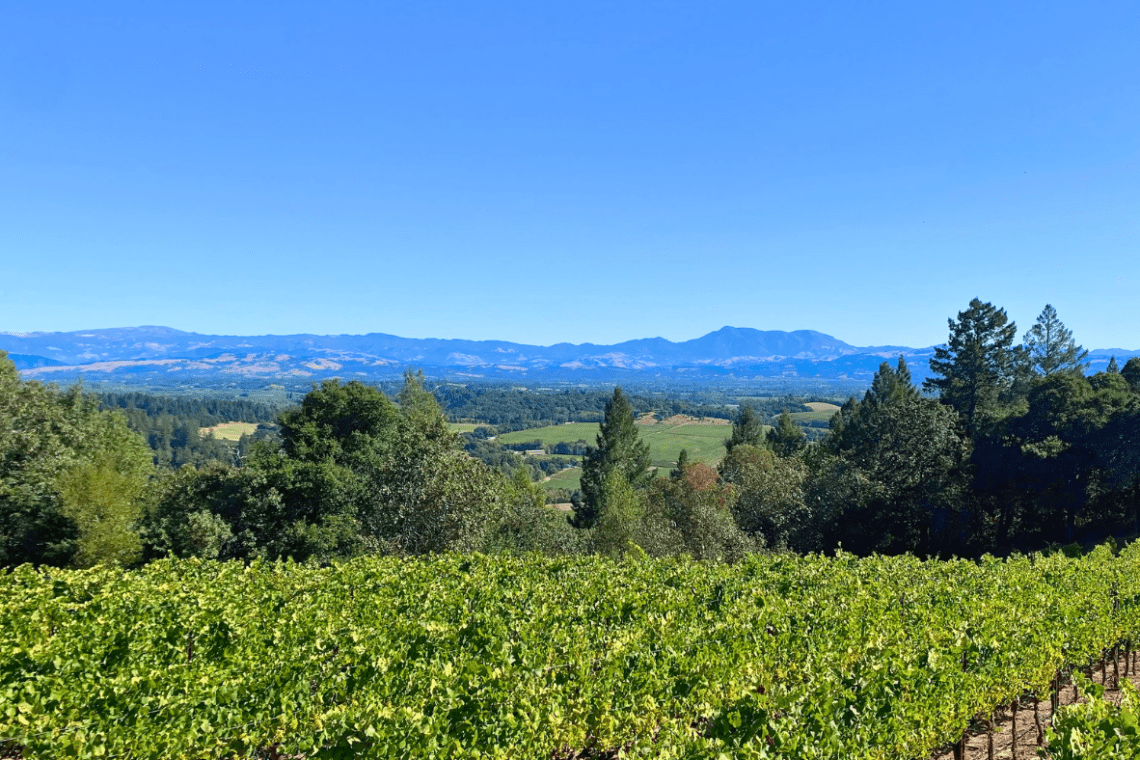 Sonoma County- Outdoor Adventures