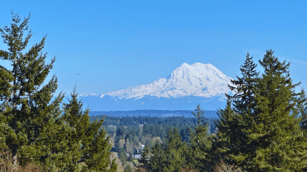 Mt. Rainier