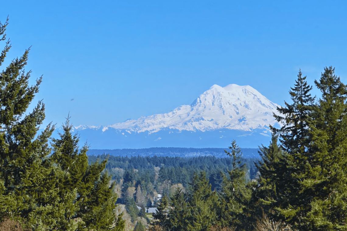 Mt. Rainier