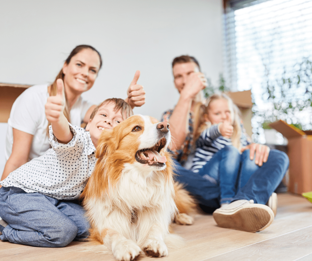 Positive Reviews. Dog-Friendly Hospitality