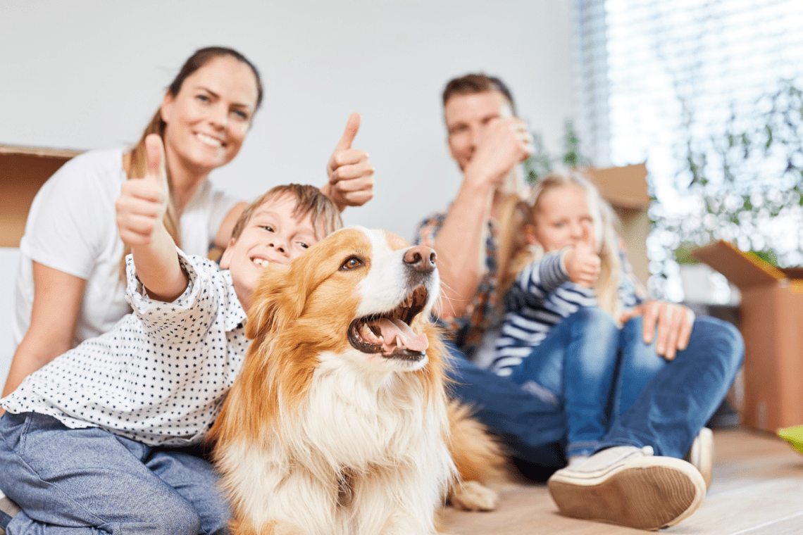 Positive Reviews. Dog-Friendly Hospitality