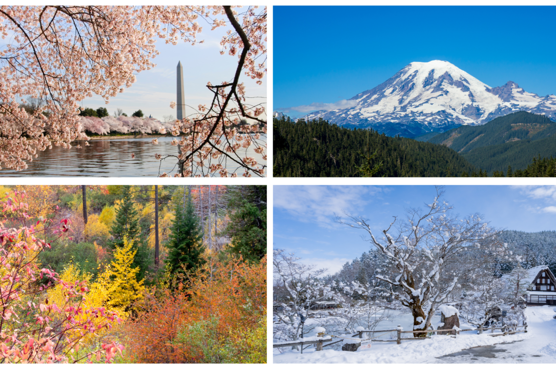 Seasons in Washington_ Season