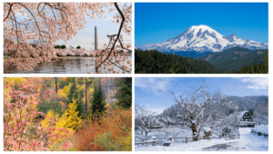 Seasons in Washington_ Season