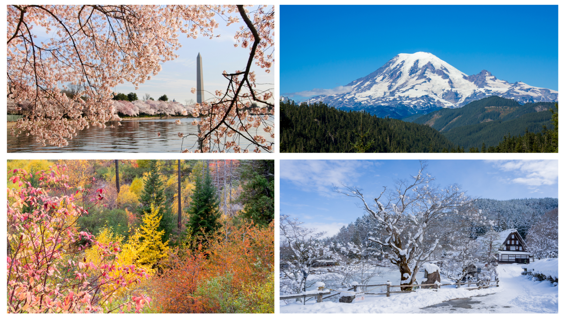 Seasons in Washington_ Season