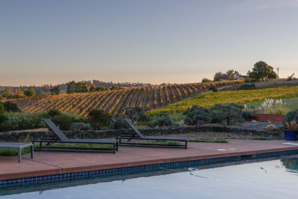Burnside Villa_Pool_Vineyard view