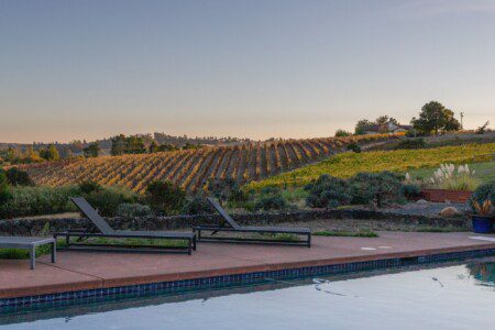 Burnside Villa_Pool_Vineyard view