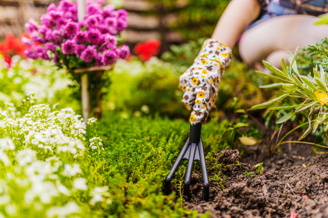 Landscaping team