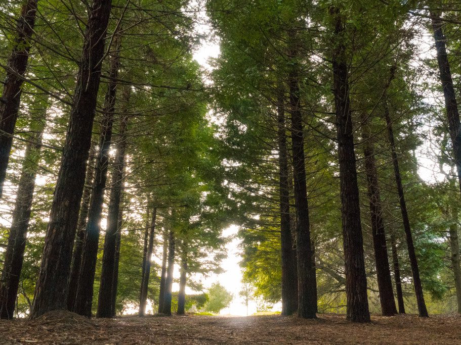 Ragle Ranch Regional Park