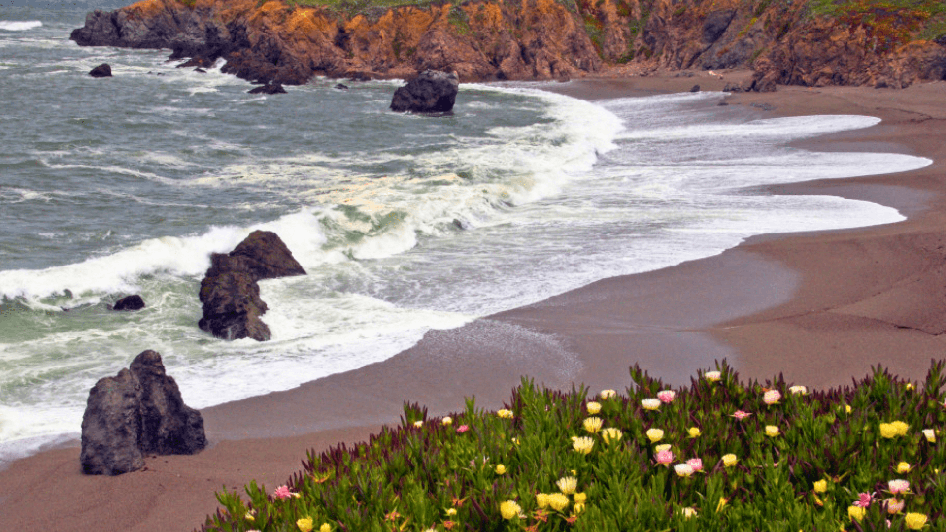 schoolhouse beach