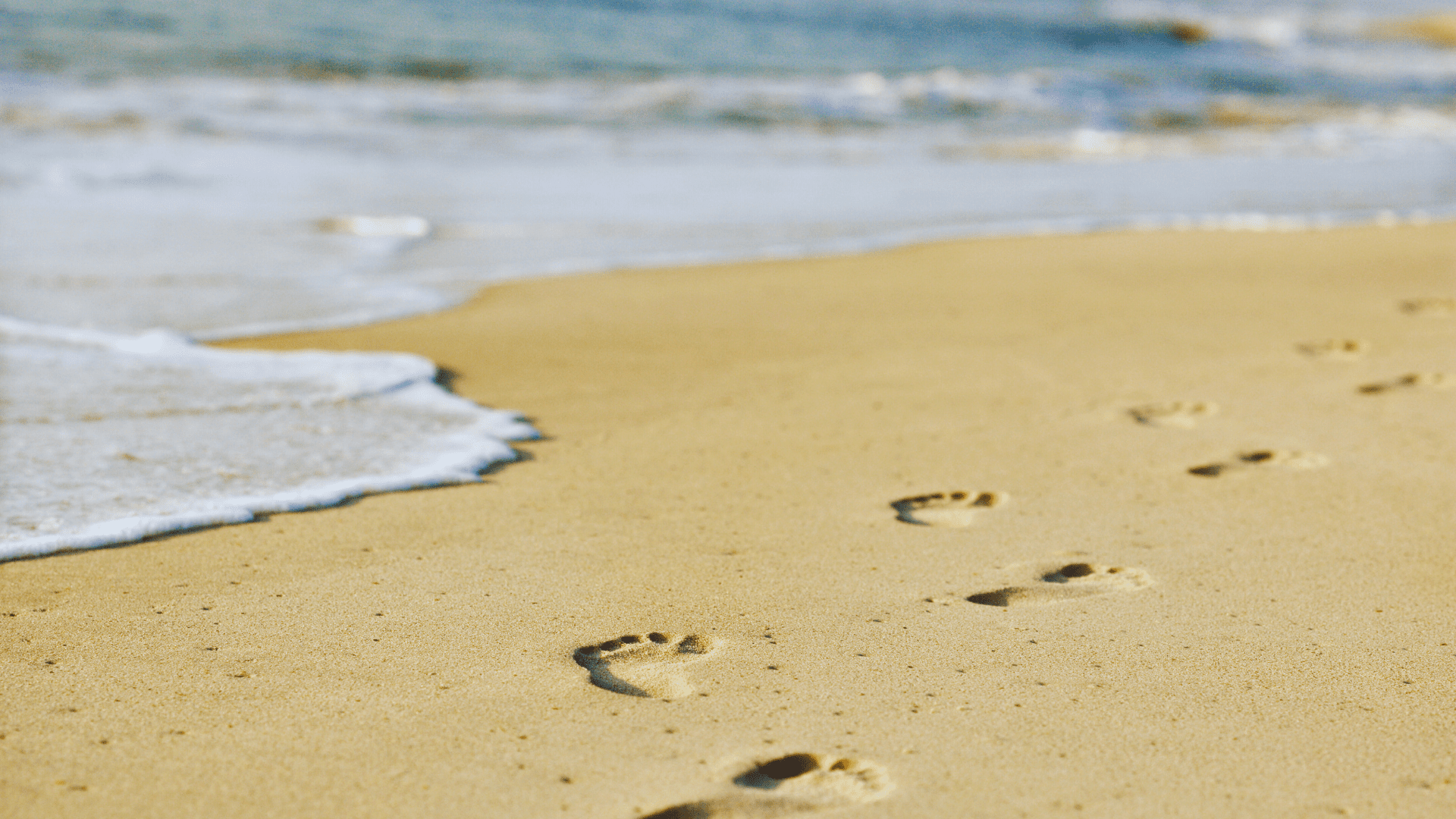 blog cover Coastline
