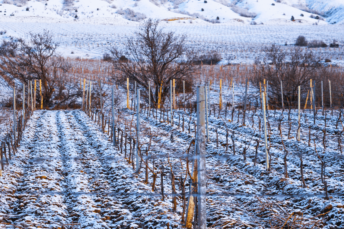 Escape the Crowds: Why Sonoma County is the Winter Getaway You Need