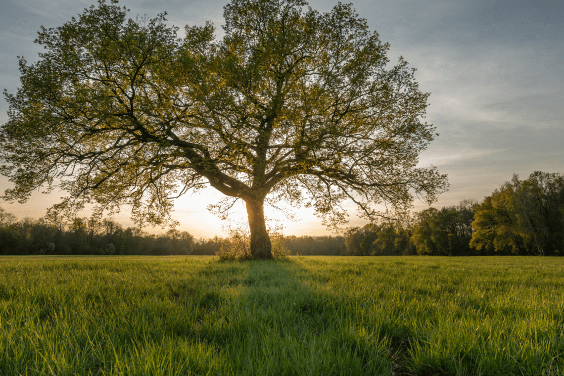 spring blog cover