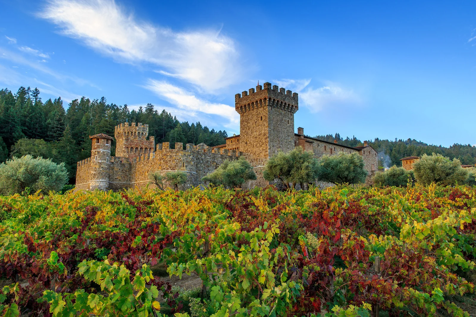Castello Di Amorosa