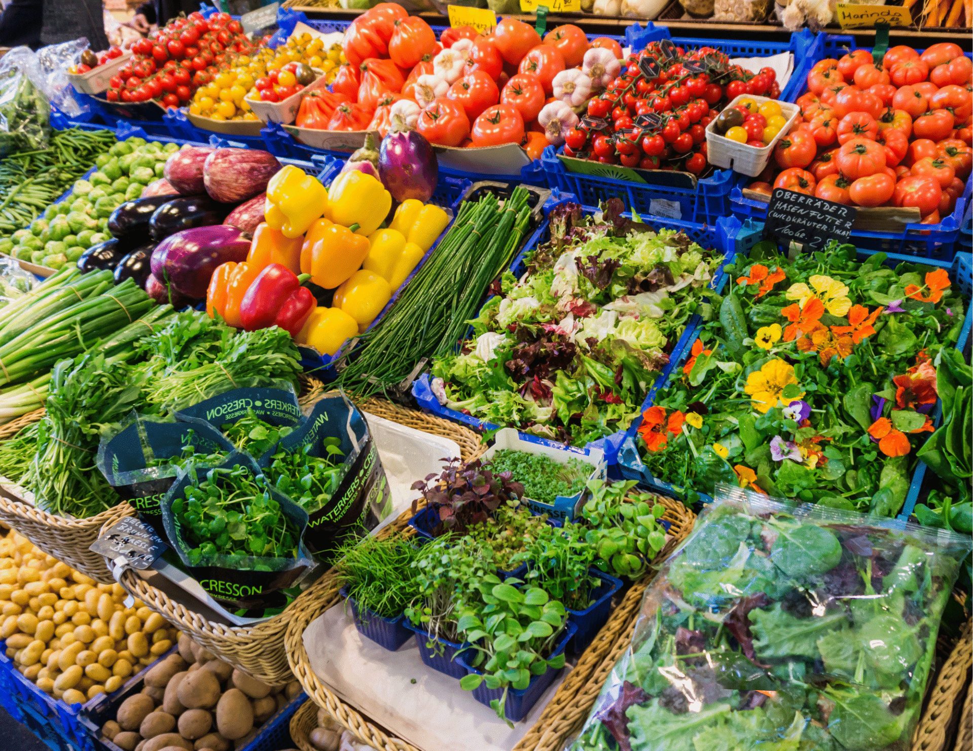 farmers market