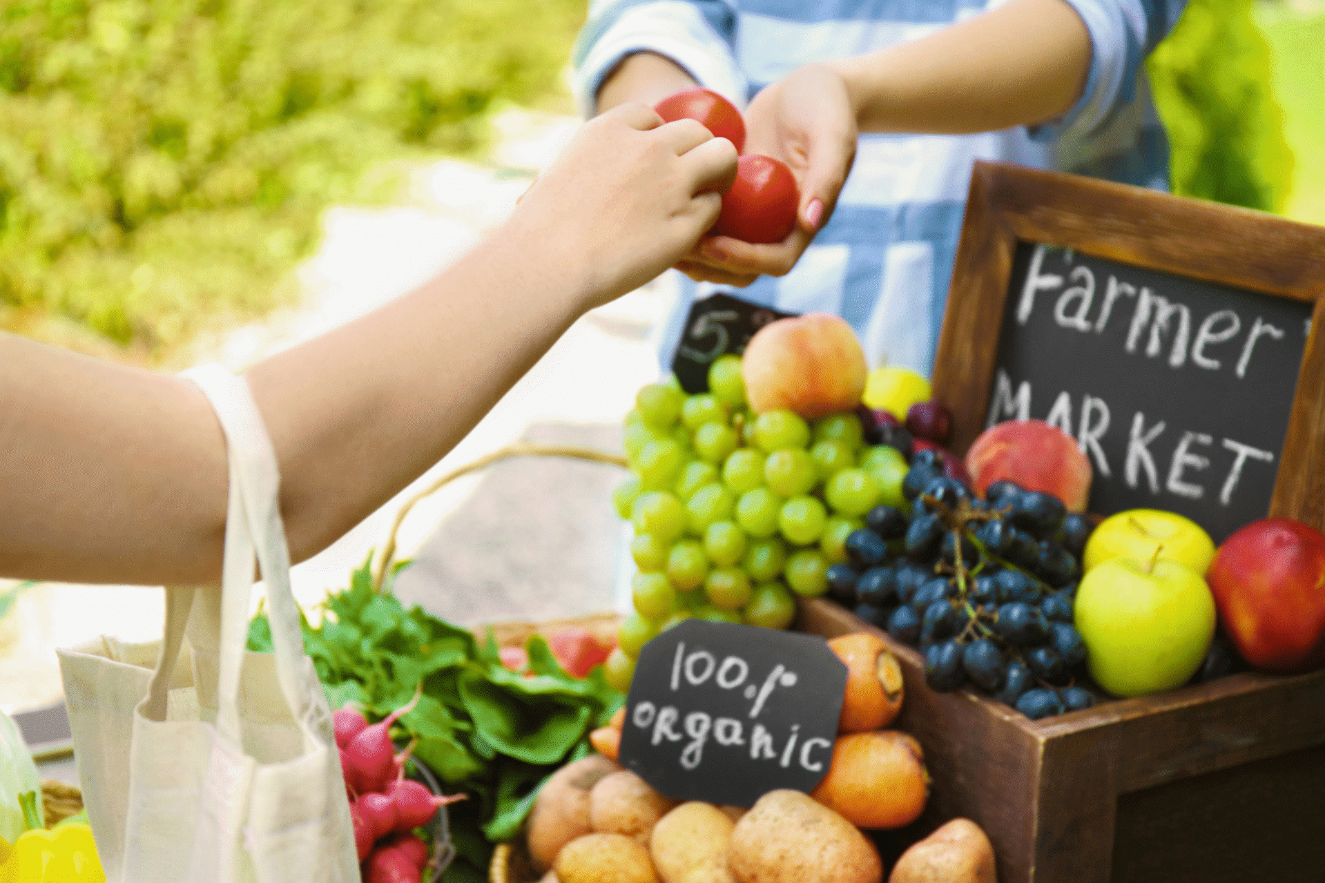 farmers market farmers market