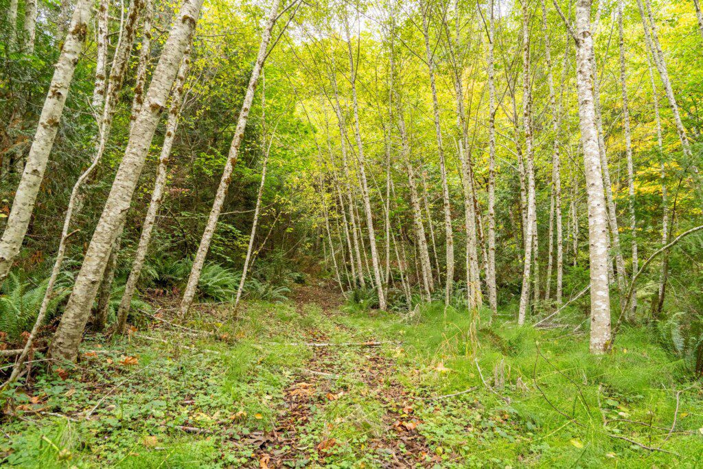 motkzrbwoaas2tjjaons