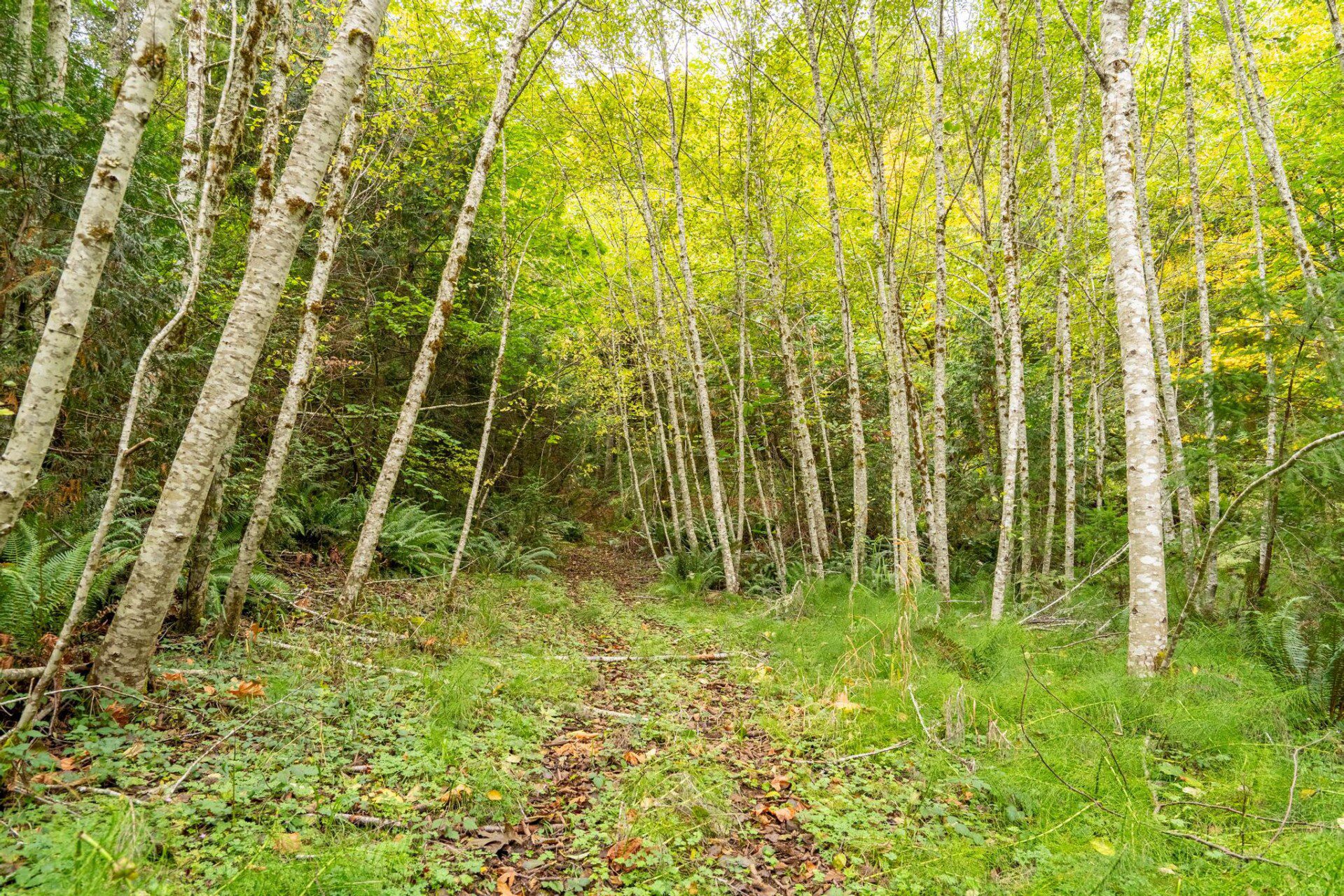 motkzrbwoaas2tjjaons