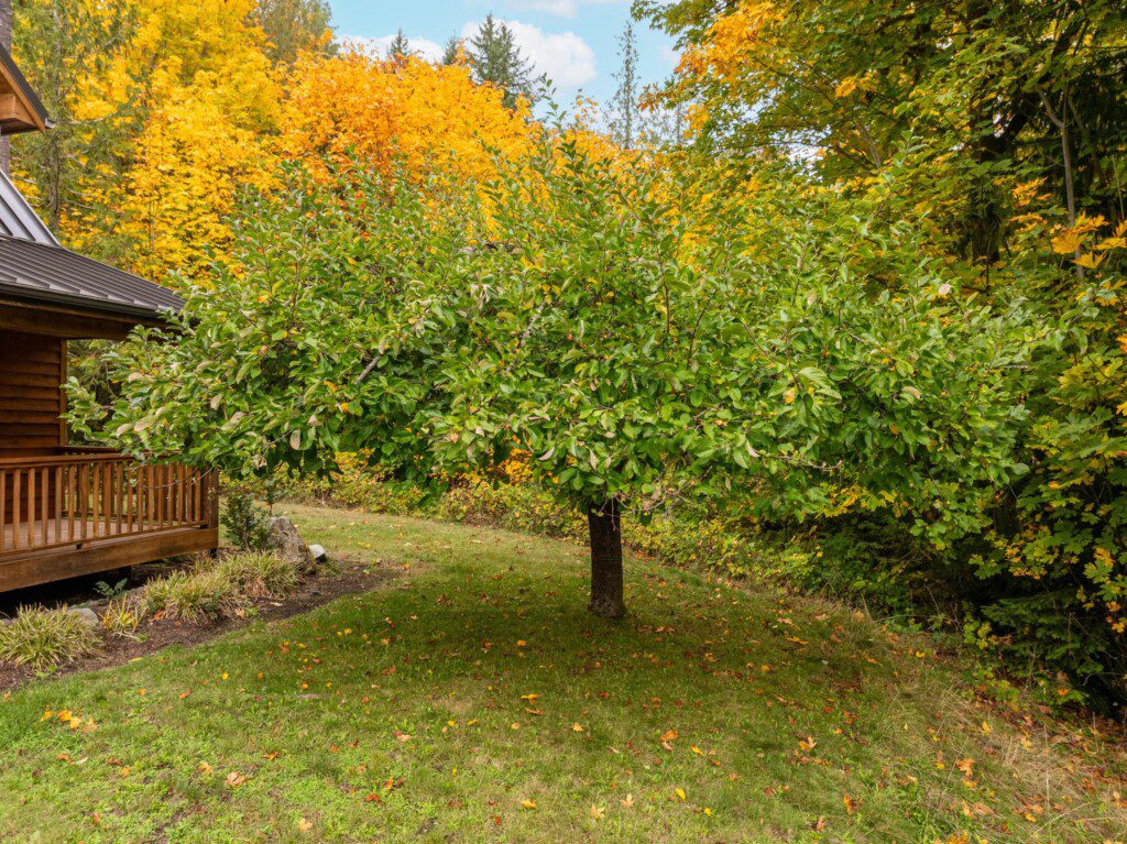 t5eck0xqgmxjxuejjzhg