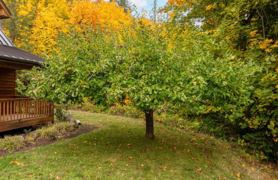 t5eck0xqgmxjxuejjzhg