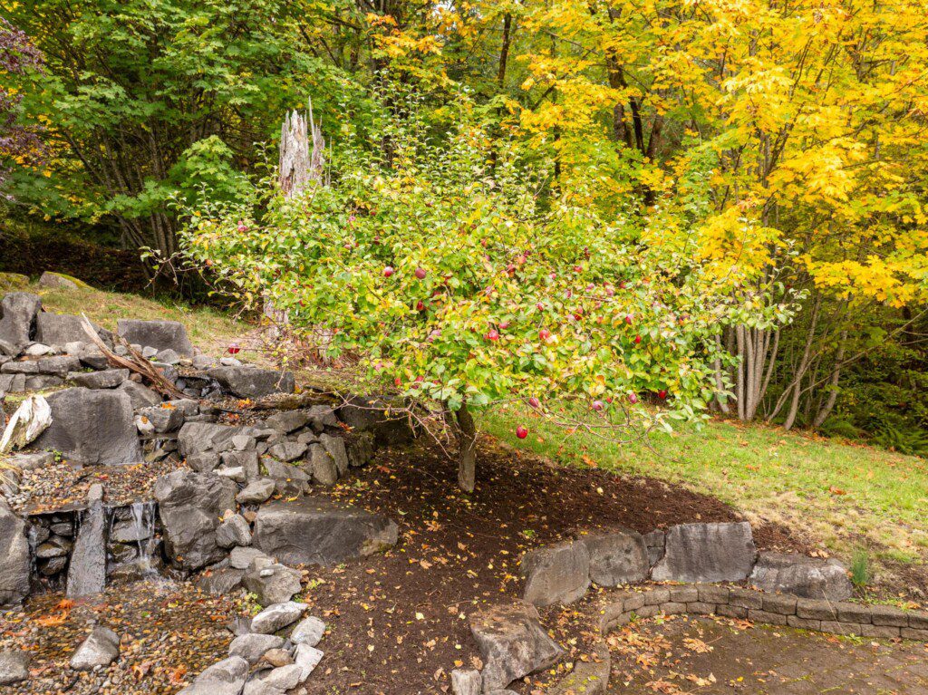 v2wfwl11ydpilfo1subz