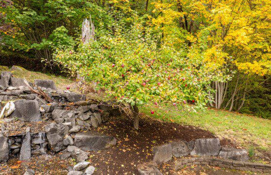 v2wfwl11ydpilfo1subz