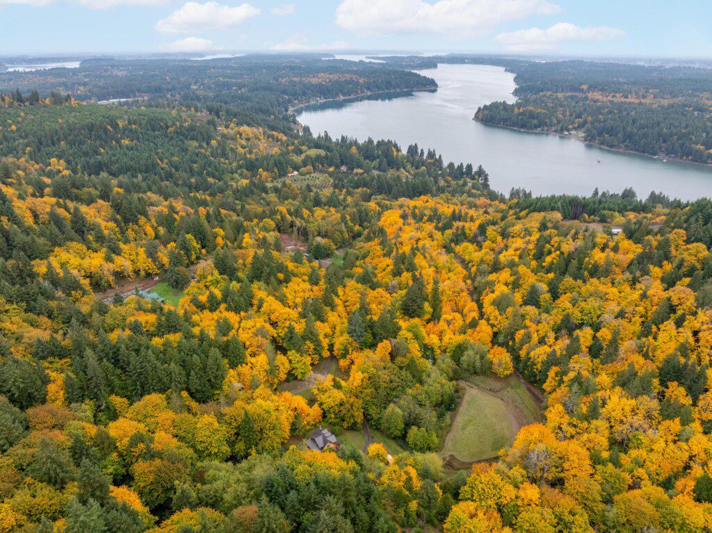 vwnszzi07y0hw8903nys